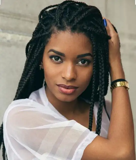 Free Shipping 1pc T2409 Kanekalon Gorgeous African Hair Braiding Styles Long Hair Box Crochet Braids Curls Coils Beautiful Afros