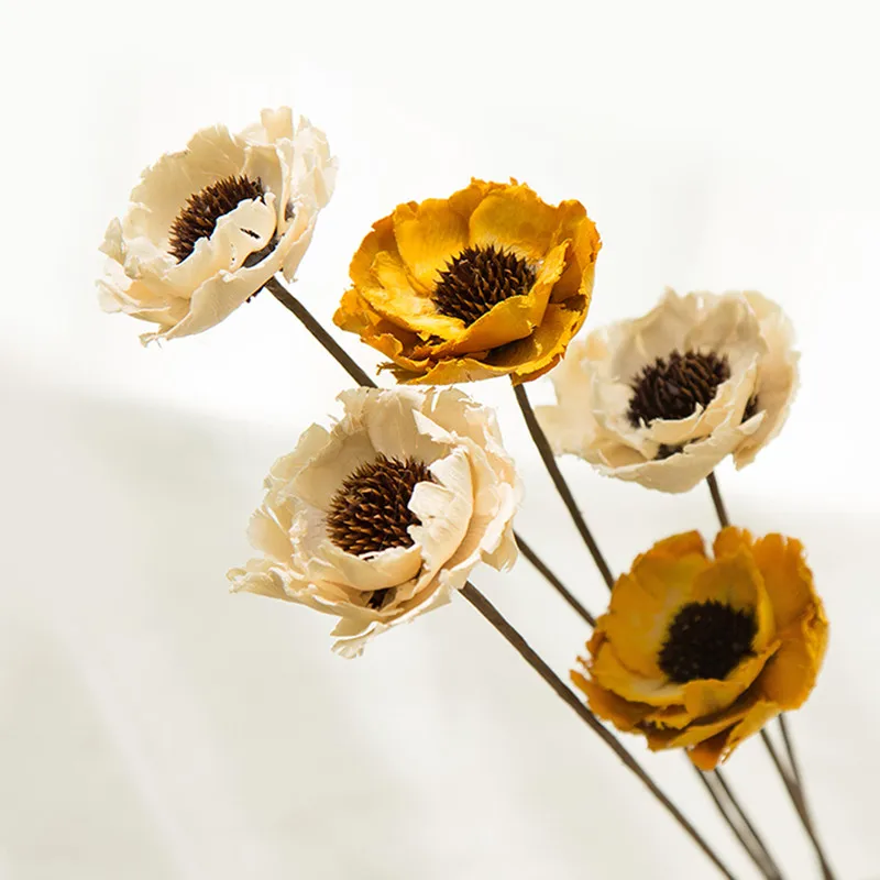 

3pcs/Lot Handmade Dried Flowers Natural Plant Anti-Fading Corn Poppy Slice Beautiful Living Room Decorative Display Flowers