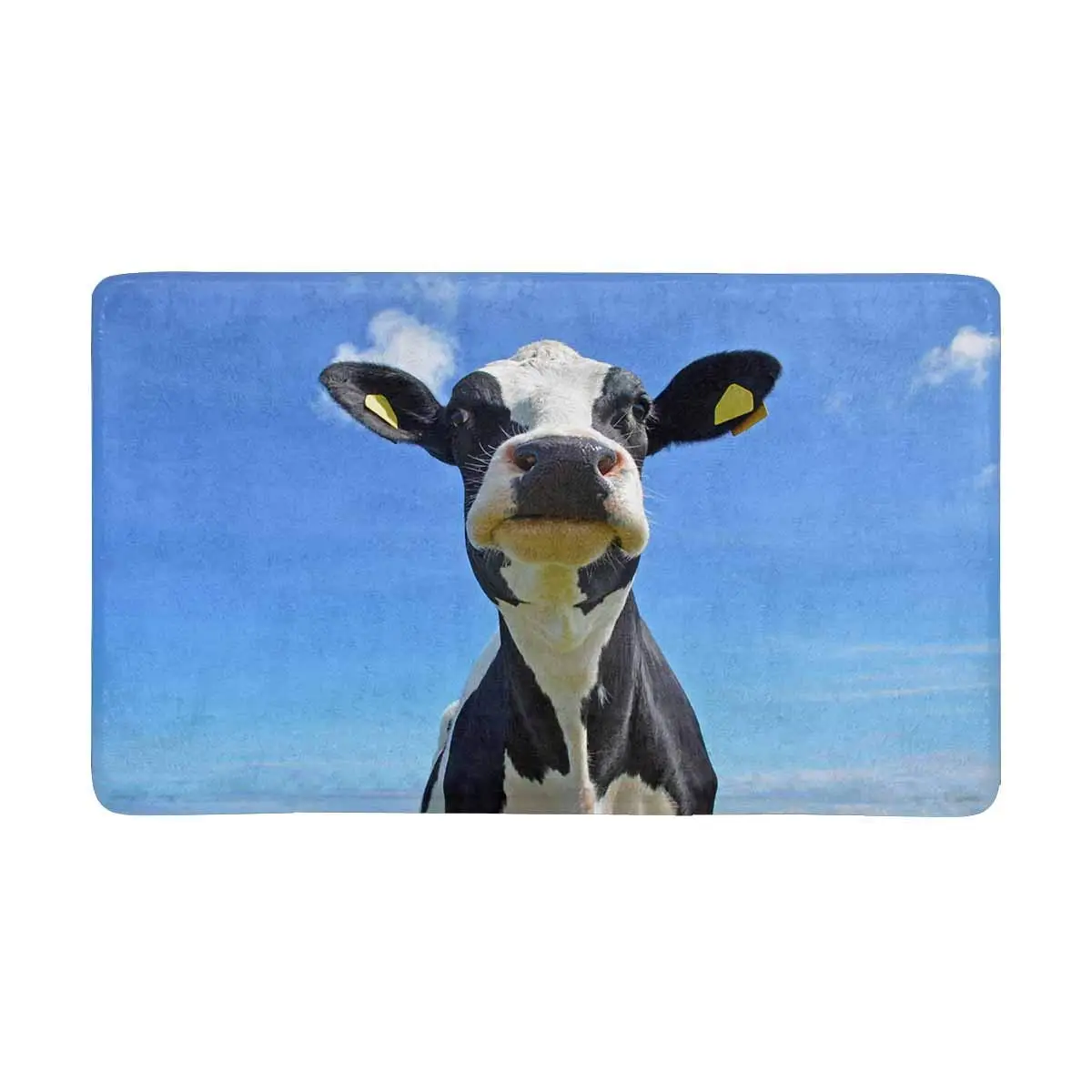 

Funny Animals Crazy Cow Indoor Entrance Doormat Non Slip Door Mat Entrance Rugs Home Decor