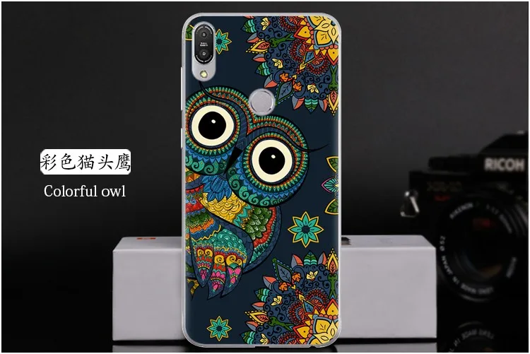  Colorful owl