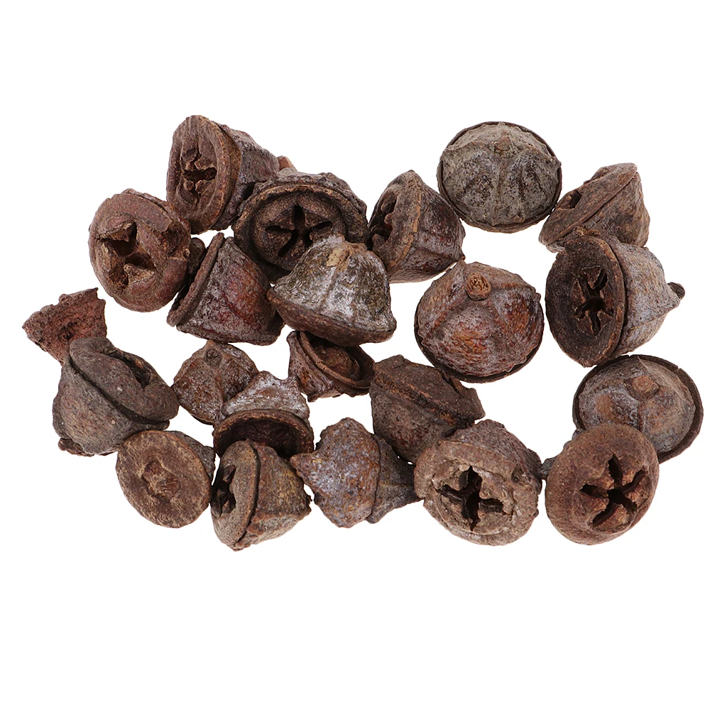 50pcs Natural Dried Flowers Fruit for Wedding Party Christmas Decoration Festival Xmas Ornament Home DIY Crafts Supplies