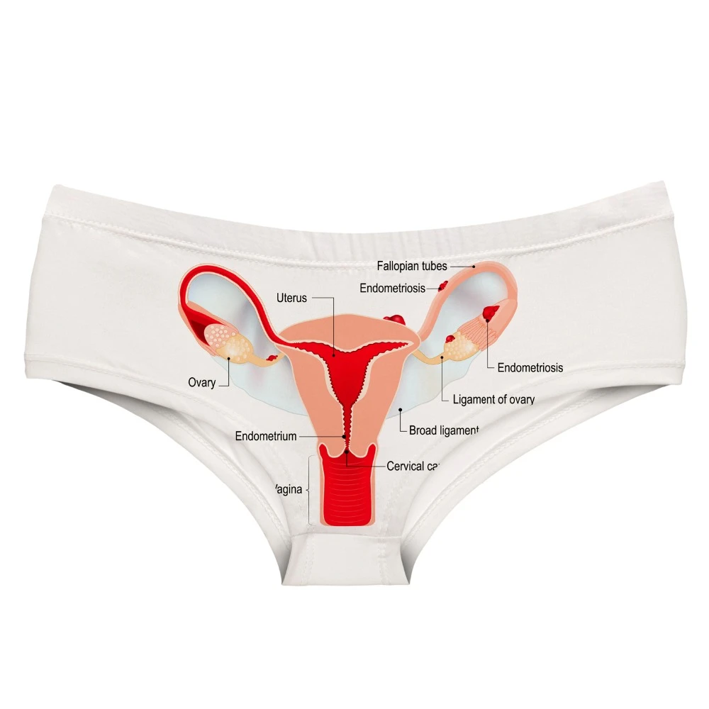 Lovely underwear Clearance