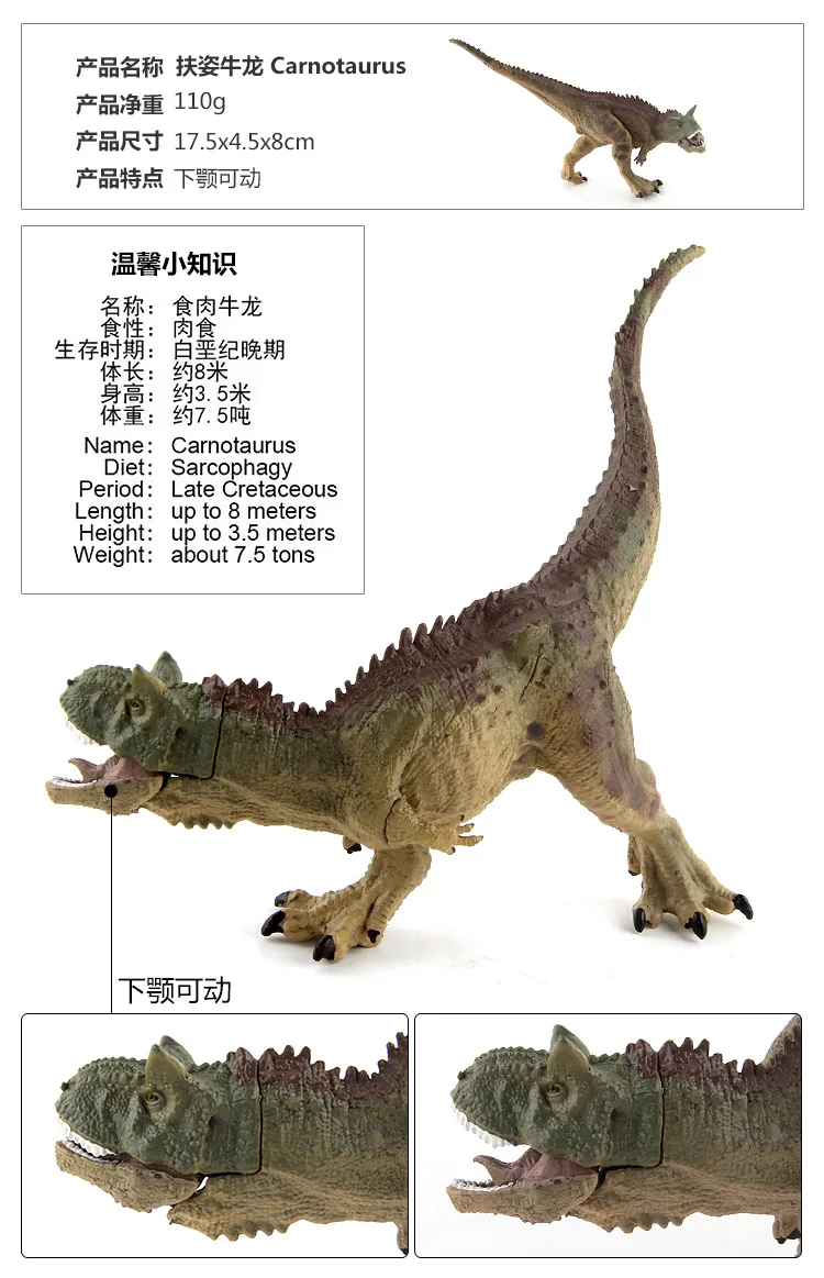 4431388221_1858038522