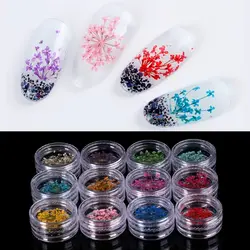 12 Цветов 3D ногтей Книги по искусству украшение реального сухой сухих цветов для UV гель акрил