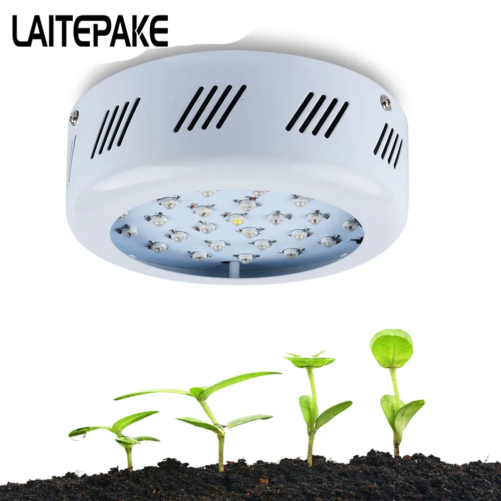 MissGrow 300W UFO Full Spectrum LED Grow Light Kit For Plants