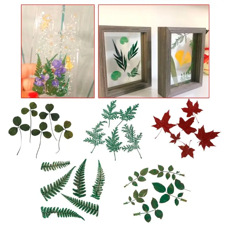 

5Pcs Dry Leaf Filler DIY Epoxy Resin Crafts Dried Leaves Materials UV Decoration Filling Bookmark Label Plants Grass Ornaments