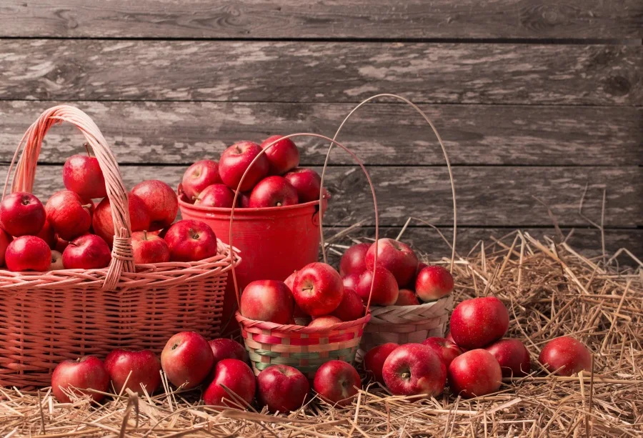 

Laeacco Wooden Board Hay Bale Fruit Portrait Scene Photography Backgrounds Customized Photographic Backdrops For Photo Studio