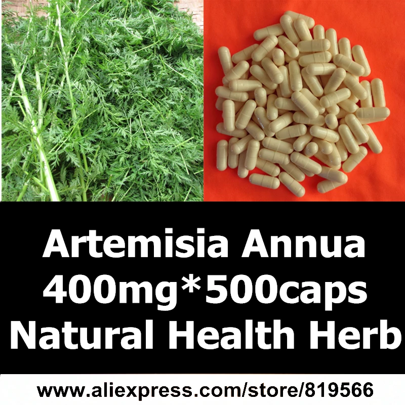

Natural Artemisia Annua Leaf Extract Capsule Organic Sweet Wormwood Herbal P.E. 10:1 Powder Dietary Supplements Artemisia Annua