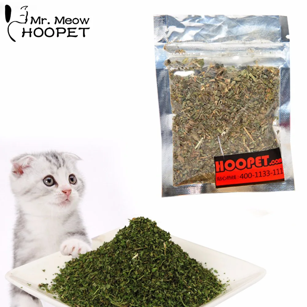 aliexpress buy 100 organic premium catnip 10g catmint menthol flavor cat aliexpress buy 100 organic premium catnip 10g catmint menthol flavor cat