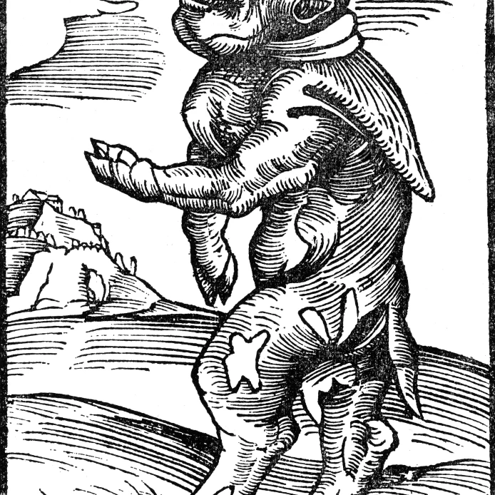 Monk Calf  Reformation Monster Poster Print by Science Source (24 x 36)