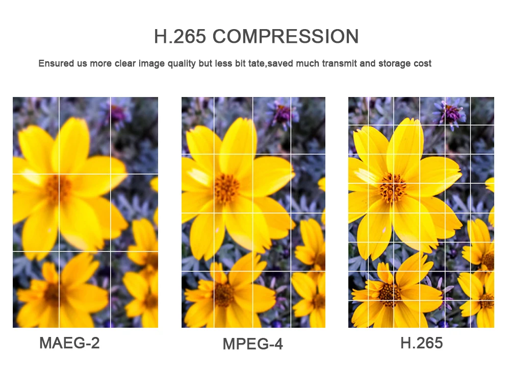 IMPORX IP PTZ Камера 3MP 20X зум Водонепроницаемый IP Камера открытый H.265 IR-CUT IR 150 м P2P высокое Скорость купольная камера беспроводной связи wifi