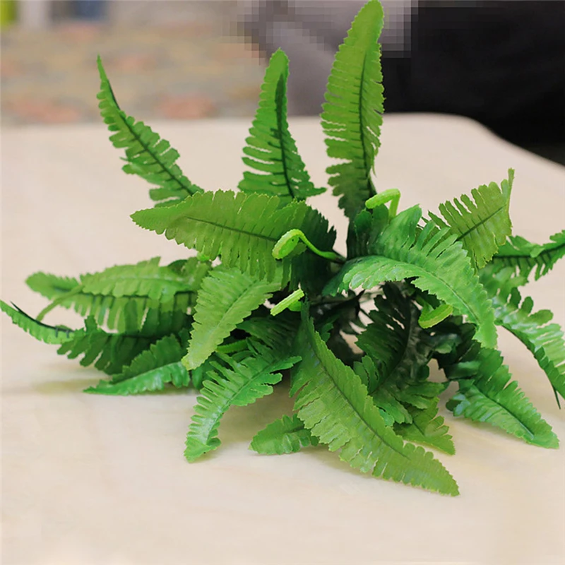 plant-1