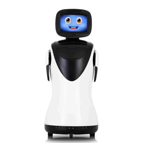 robot interactive