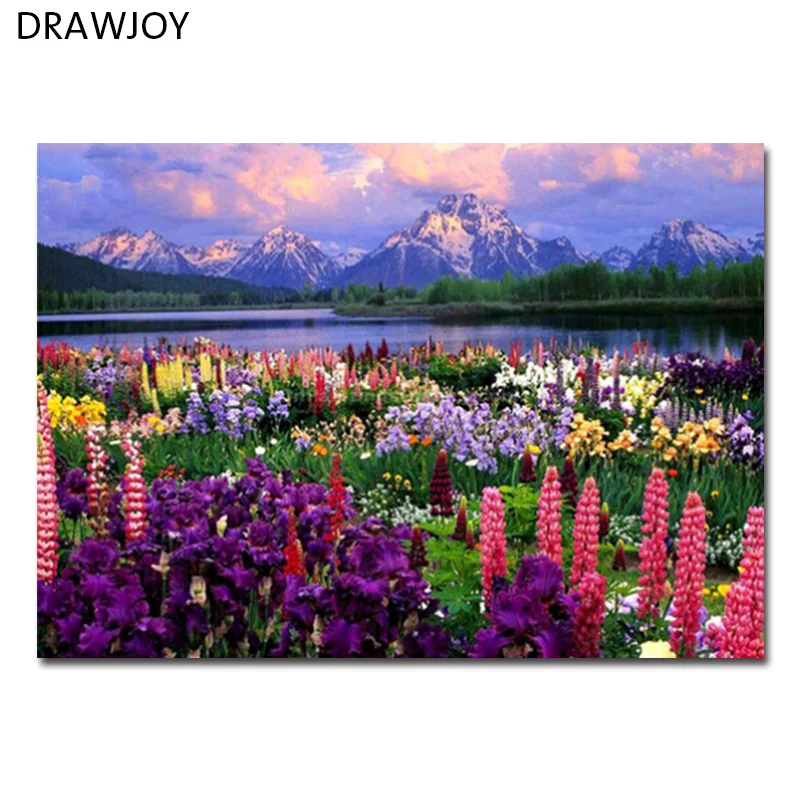 DRAWJOY пейзаж в рамке картина DIY картина маслом по номерам живопись и каллиграфический домашний Декор стены искусства GX21019 40x50 см