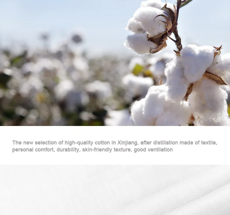 100%-Cotton-Solid-Color-Pillowcase_05