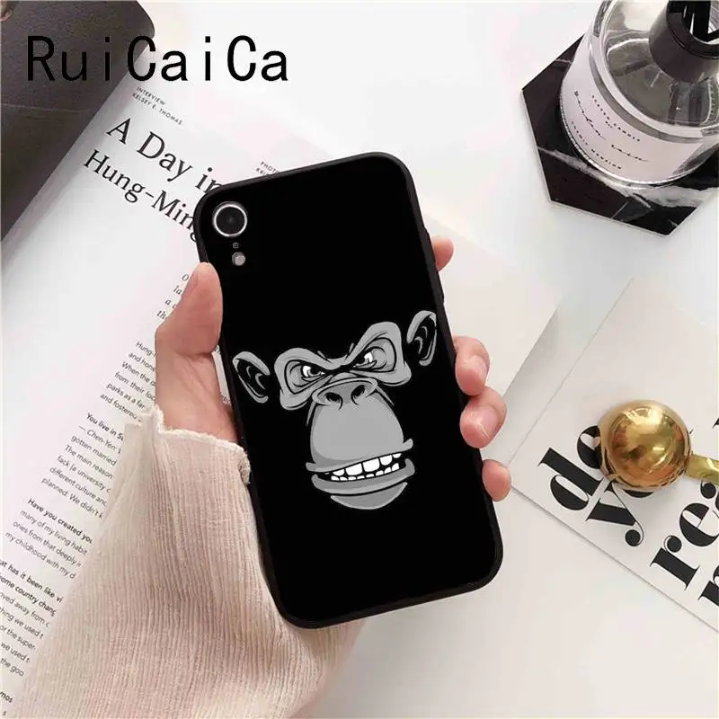 Animal monkey lion tiger leopard shark dog