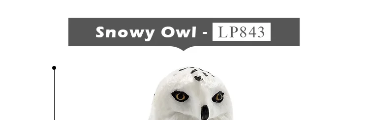 -2---DW-M-LP633-843_10