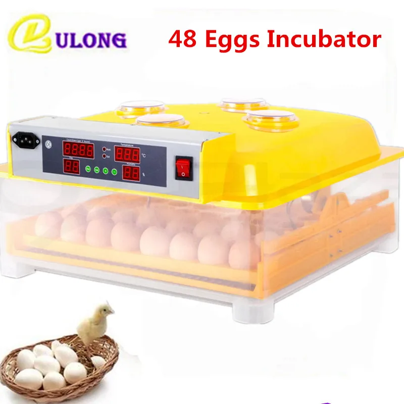 

Household Commercial 48 Eggs Incubator Mini Automatic Electric Poultry Incubation Machine Equipment Tool