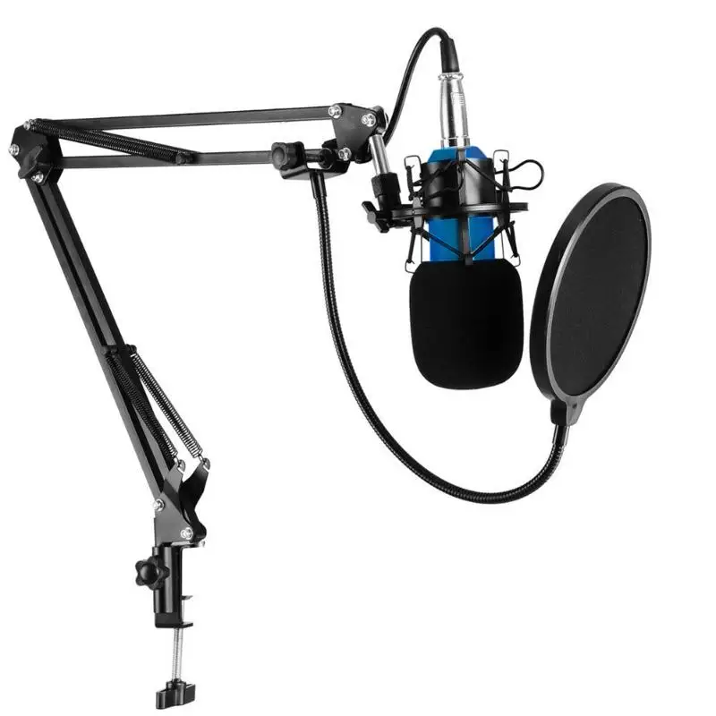 

Alloyseed Professional Wired Microphone Studio Hanging Condenser Microphone with Metal Shock Mount Mic for Sound Recording