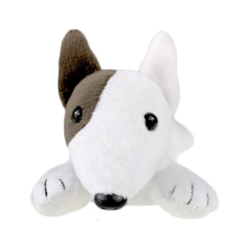Bull terrier_5