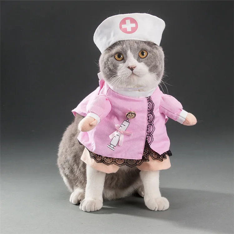 pet costume (13)