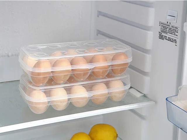 Kühlschrank Aufbewahrungsbox : Klar große kapazität portable picknick camping kühlschrank ei Kühlschrank Aufbewahrungsbox : Klar große kapazität portable picknick camping kühlschrank ei