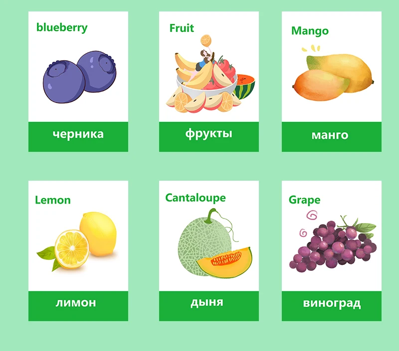 Cartões de Memória Flash para Crianças Sala de Aula Jogos de Memorie Frutas Legumes Aprendizagem Russa & Inglês Montessori Brinquedos Educativos 66 Pçs - Set 12 Computers & Electronics
