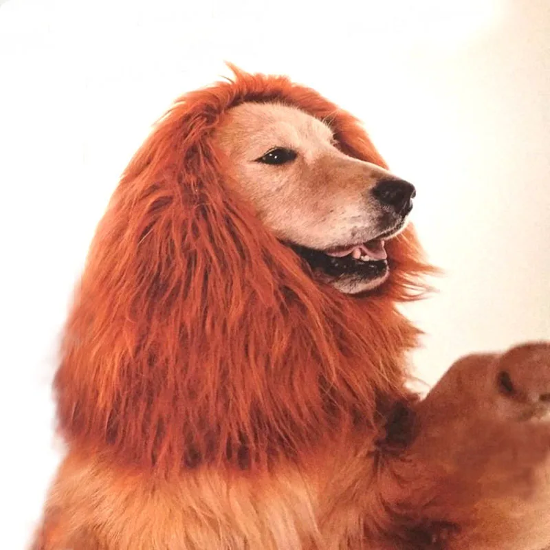 

New Arrival Pet Dog Dress Up Interactive Toy Realistic Funny Lion Mane for Dogs Small Medium Large Size DIY Pet Dog Hair Toys
