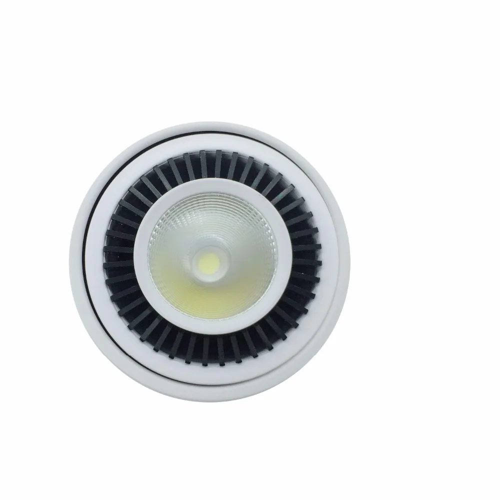 Downlight 9