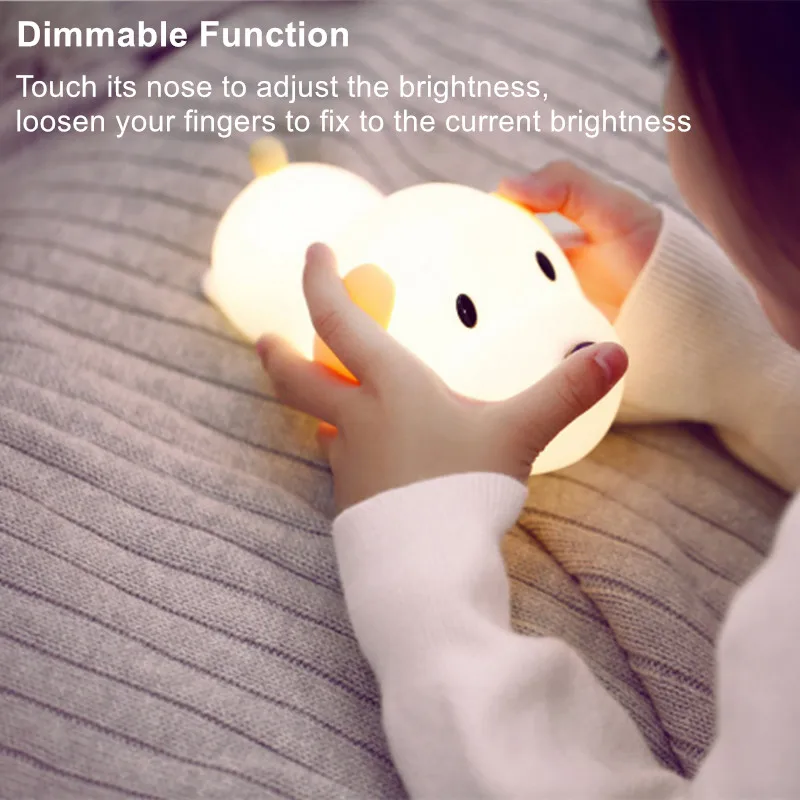 Night Light LED  (10)