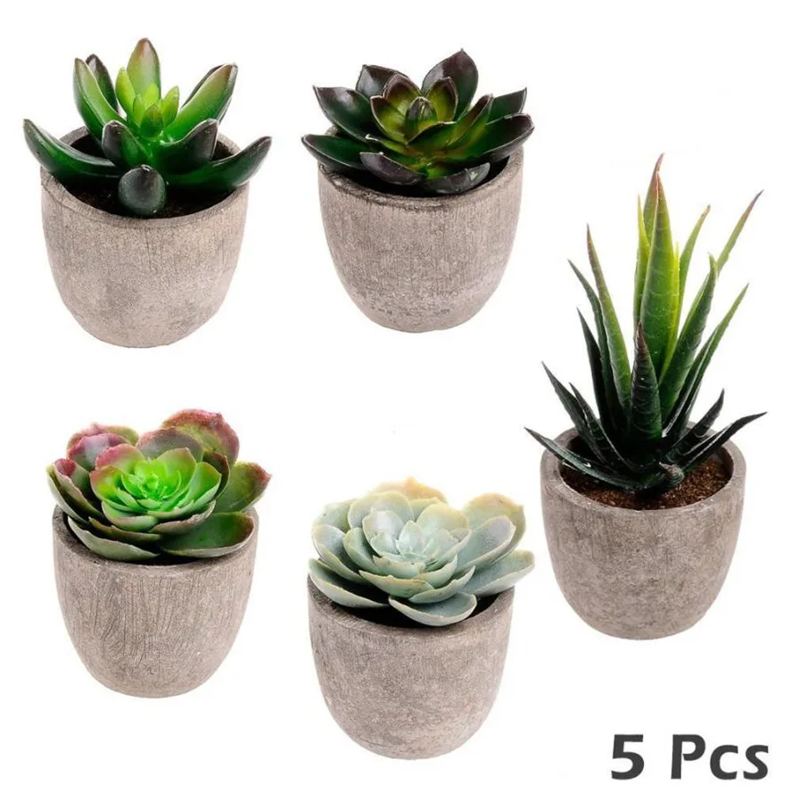 2018 New 5PC Faux Succulent Artificial Succulent Cactus Fake Cacti