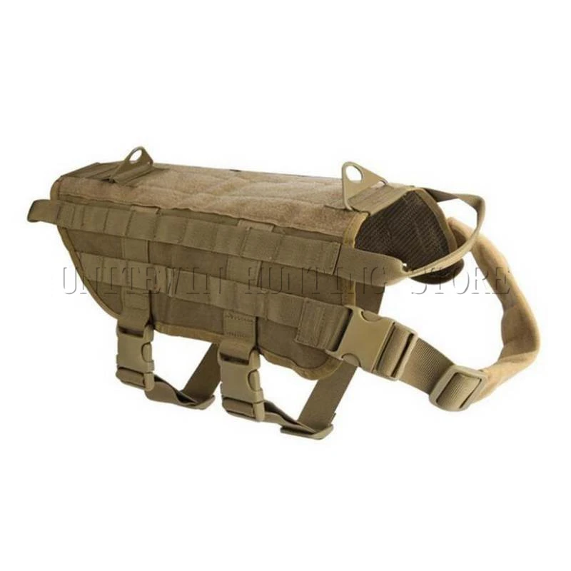 Dog-01