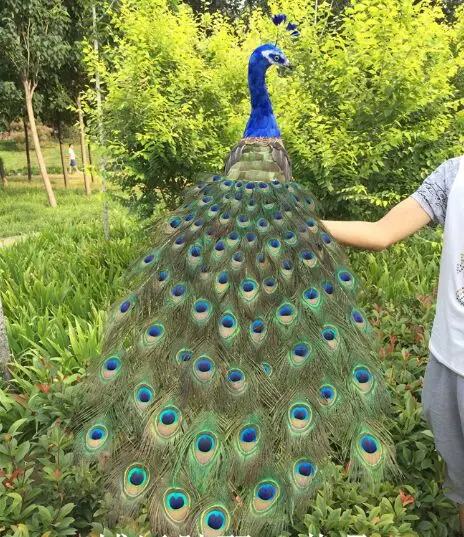 1 - 