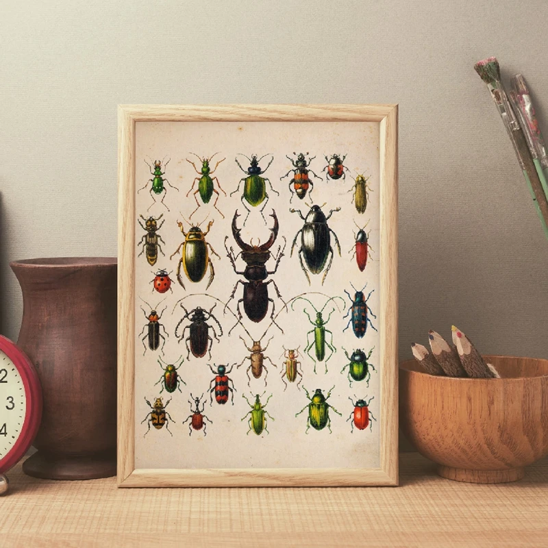 Beetle Collection Vintage Poster Prints Home Wall Art Decoration