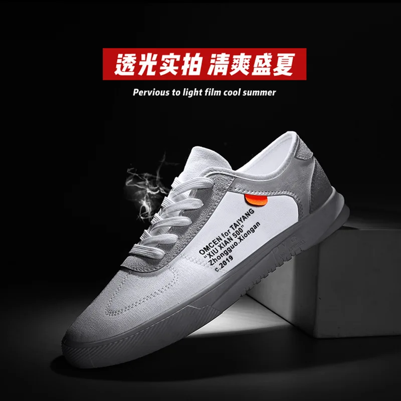 2019 Canvas Skate Shoes Men Low Help Male Shoe School White Shoes Ventilation Screen Cloth Motion Casual Shoes Shoes Sneakers