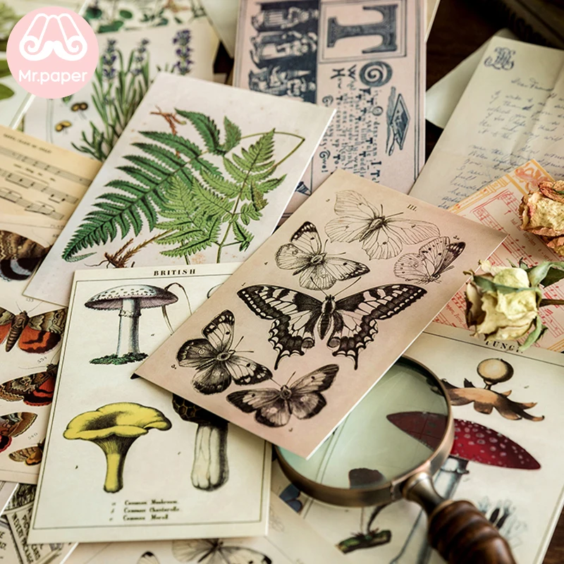 Mr.Paper 30pcs/box Ancient Forest Animals Plants Specimen Postcard Vintage Retro Style Creative Writing Greeting Gift Postcards