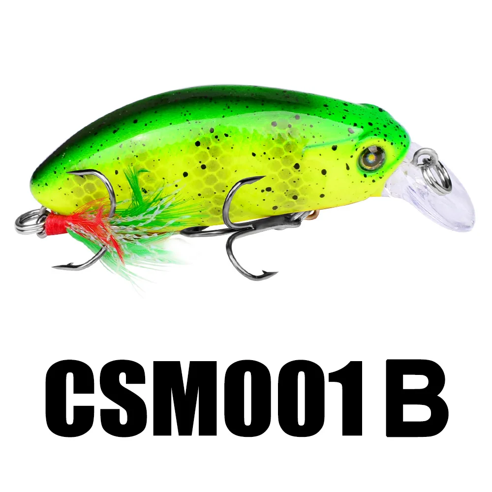 CSM001B.jpg