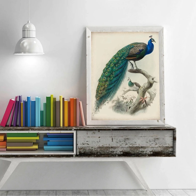 Peacock Bird Vintage Style Prints Home Decor