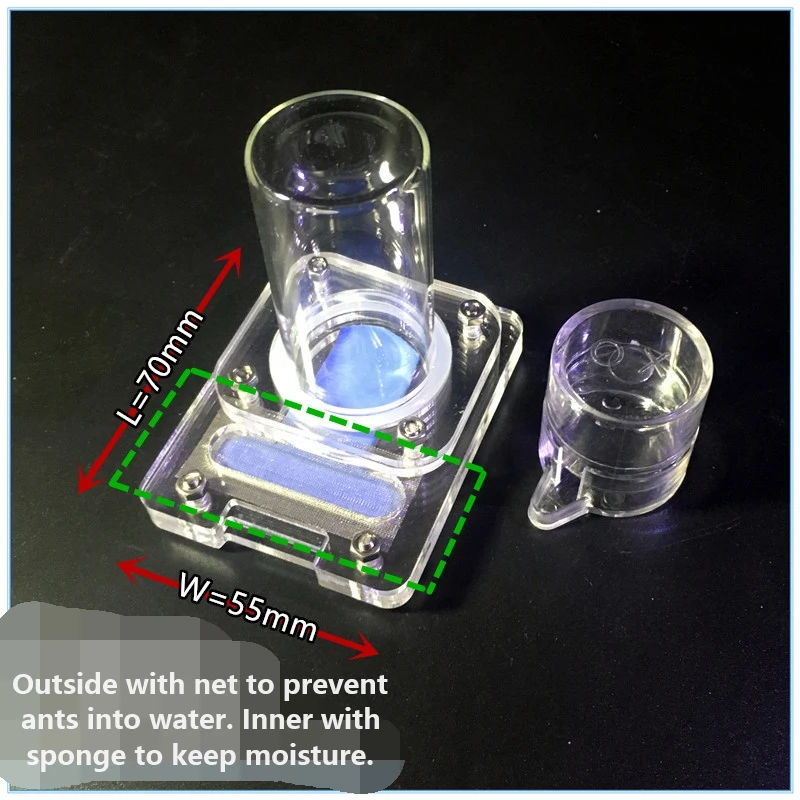 Ants-water-feeder (3)