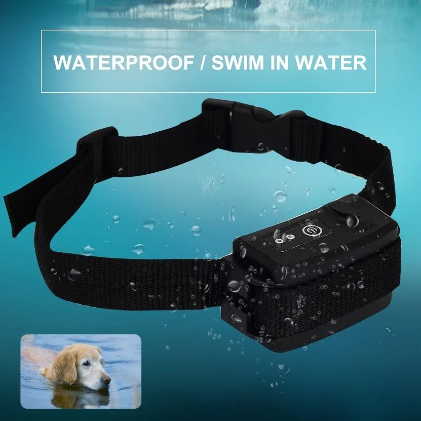 S228 DOG Collar x831