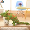 Stuffed Animals 