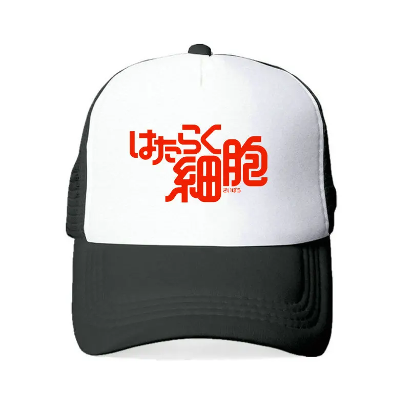 YF00206