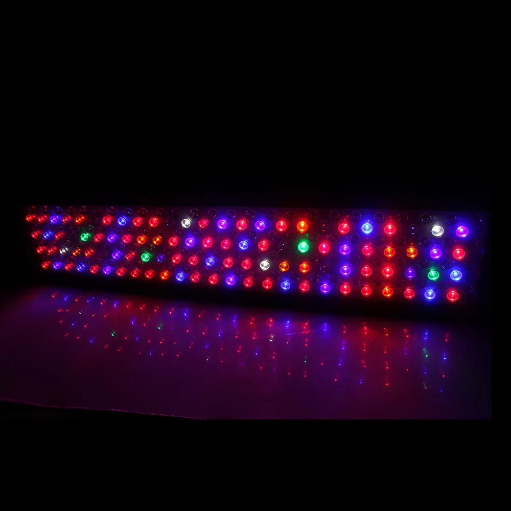 4077130963_79253061
