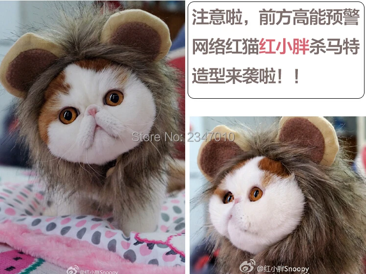 [MPK Store] Лев с гривой Кот головной убор, головной убор с ушками для кошек, Доступно 3 размера, превратите вашу кошечку в льва