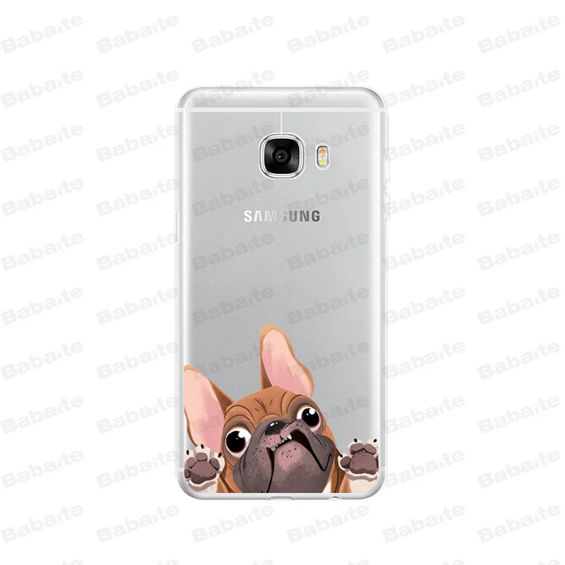 Cute  French Bulldog cartoon dog and cat