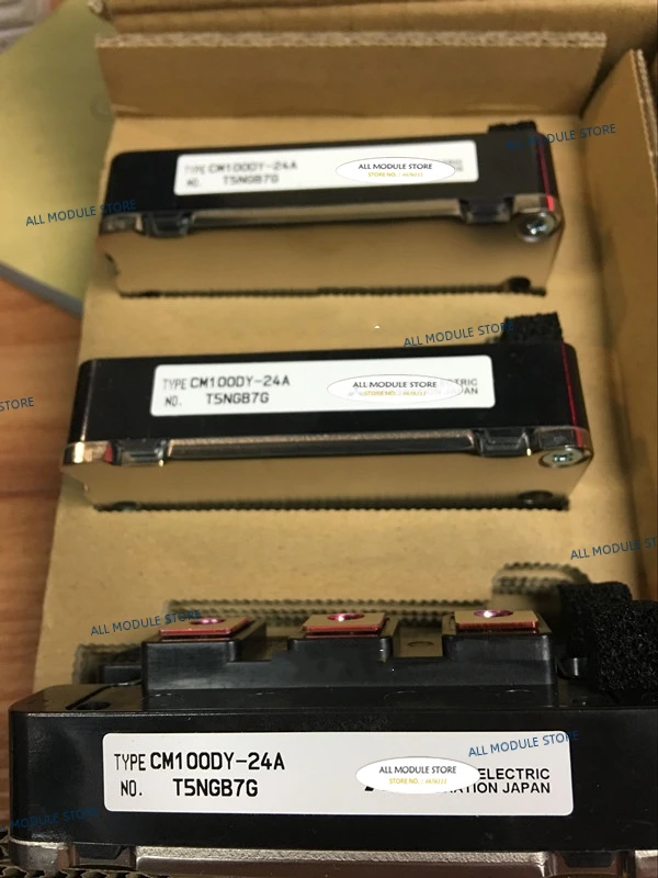 CM100DY-24A_
