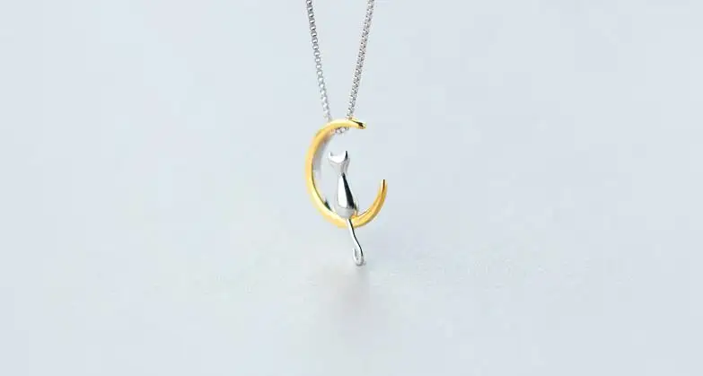 36020170116230929193