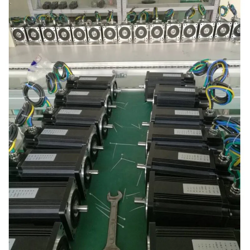 Китайский производитель 24V BLDC мотор 200W 2500ppr инкрементный датчик положения отзывы для интеллигентая(ый) робот