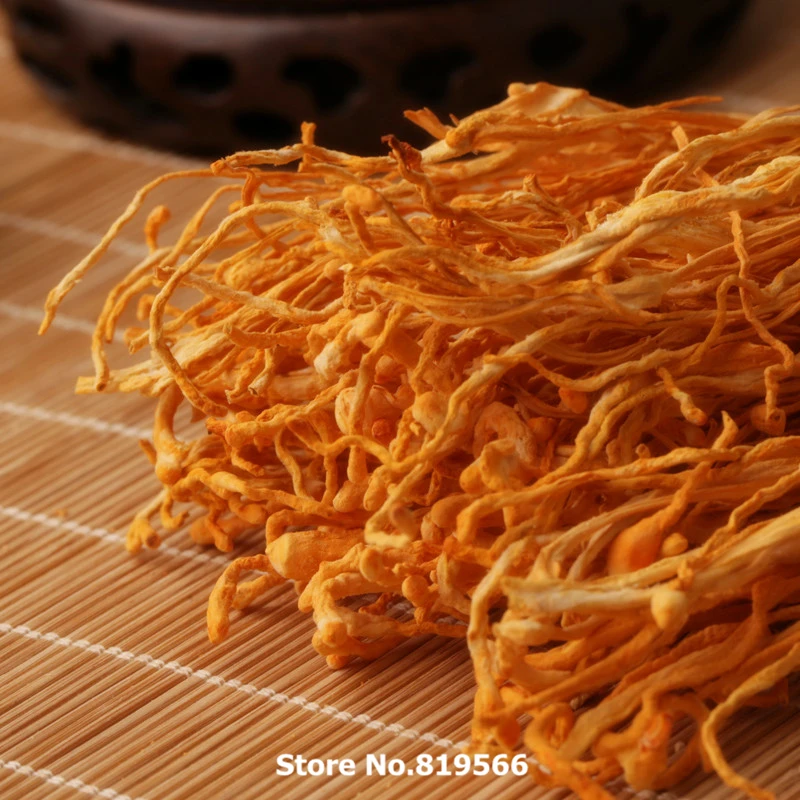 Императорский гриб кордицепс. Мицелий кордицепса. Мицелий кордицепса. Мицелия и плодовых тел кордицепса как влияет. Кордицепс.