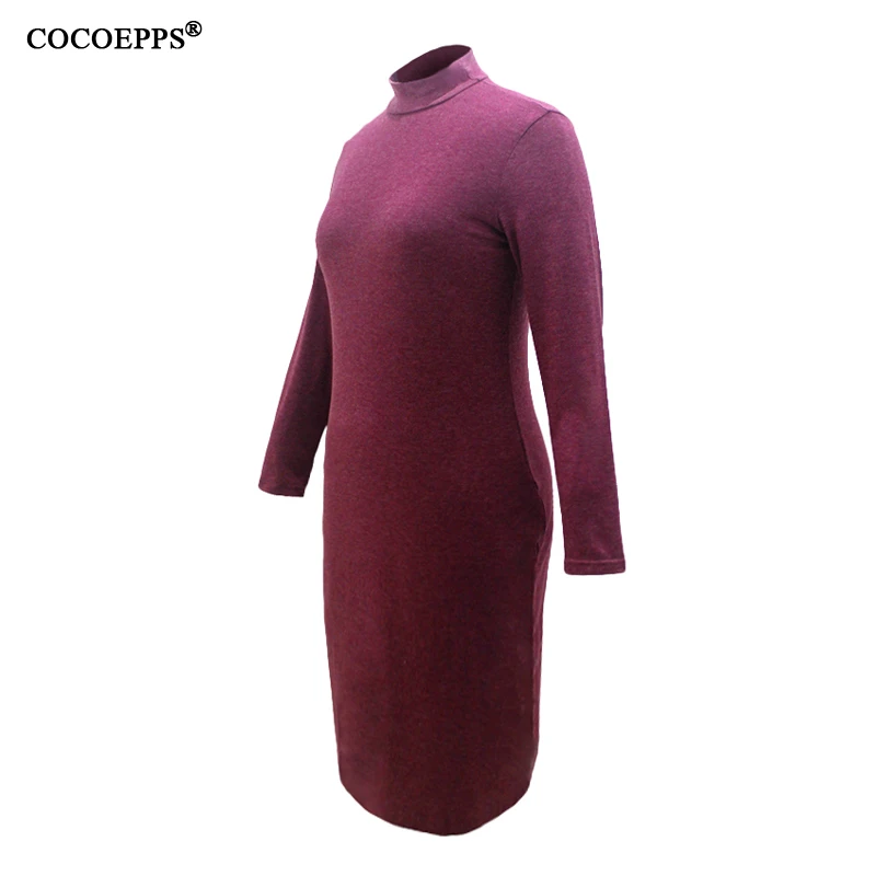 COCOEPPS14